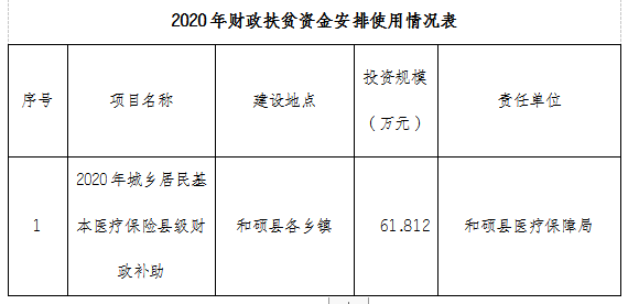 和硕县医疗保障局未来发展规划展望