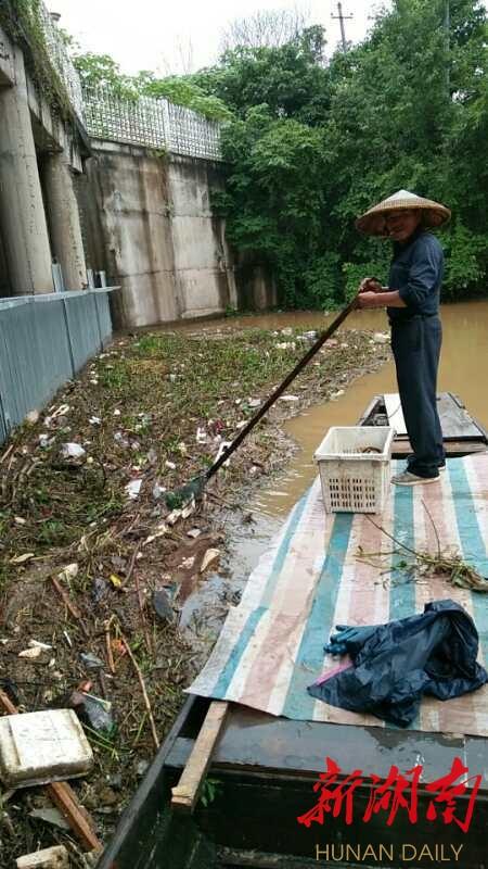 山西省阳泉市矿区沙坪街道天气预报更新通知