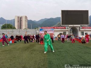 宜都市文化广电体育和旅游局新项目塑造城市新风貌，推动文旅体全面进步发展