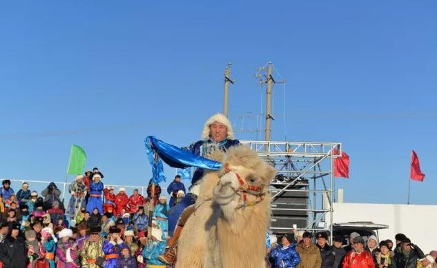 苏尼特右旗卫生健康局最新项目进展与影响概述