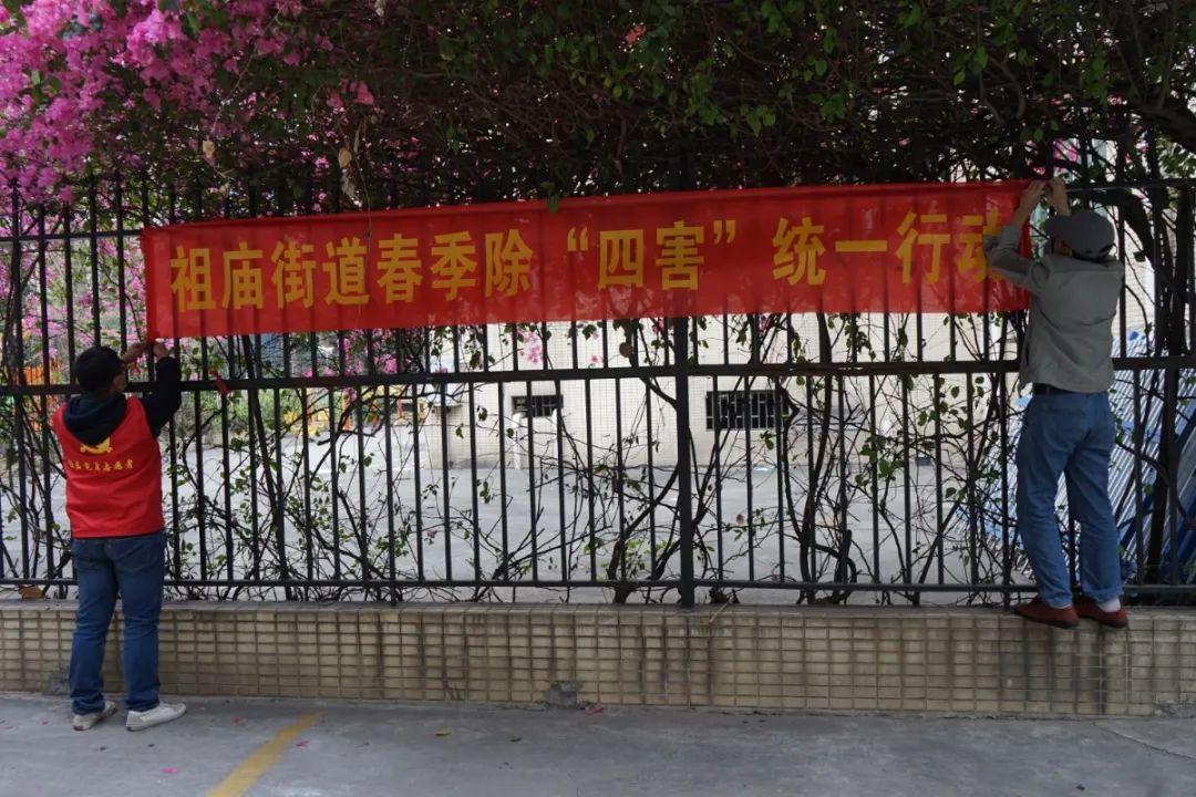 禅城区计划生育委员会最新发展规划，构建和谐社会，助力可持续发展进程