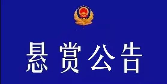 龙凤区公安局人事大调整，重塑领导团队，推动公安事业迈上新台阶