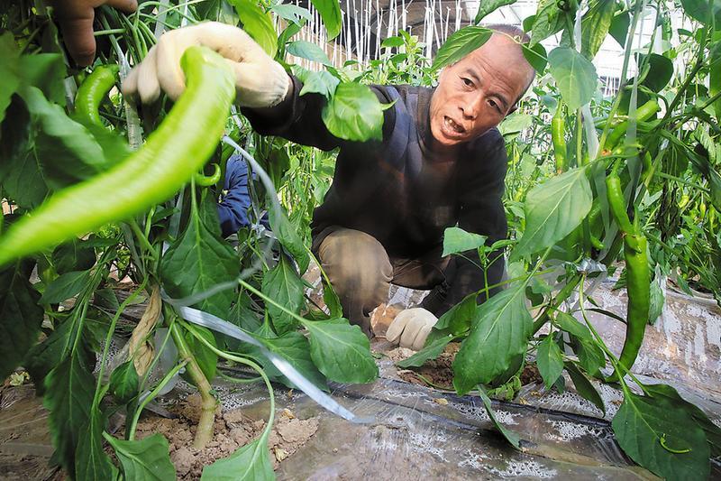 富平县成人教育事业单位最新项目，探索与启示