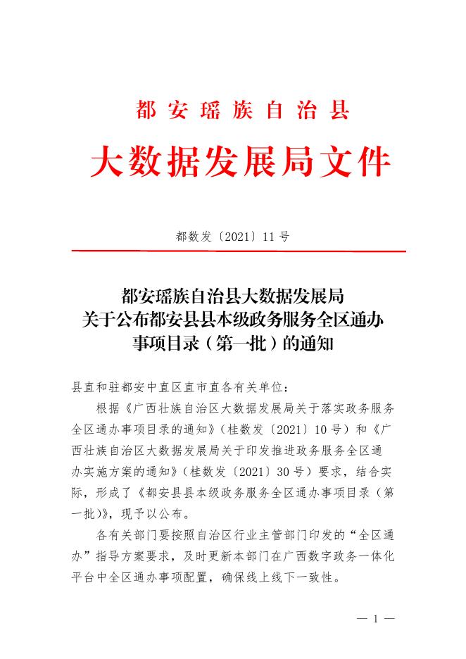 都安瑶族自治县数据和政务服务局最新发展规划研究概览