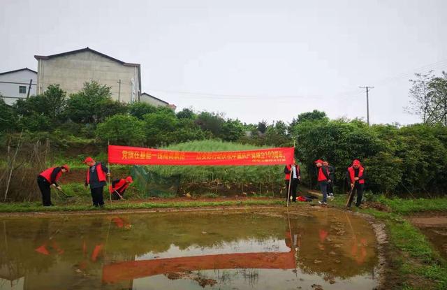 雨母山乡最新新闻报道