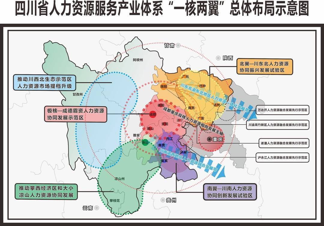 秀洲区人力资源和社会保障局发展规划，构建人才强国，推动区域和谐繁荣新篇章